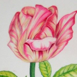 Meet your Posher, Hallie